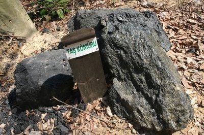 Hangi ilimizin nesi meşhur?