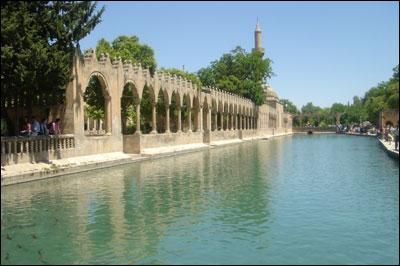 Hangi ilimizin nesi meşhur?