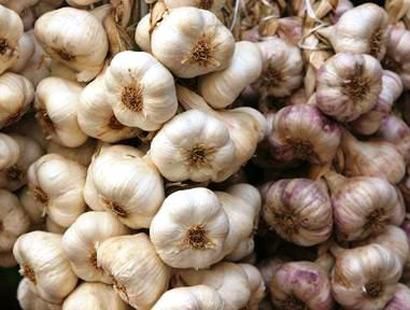 Hangi ilimizin nesi meşhur?