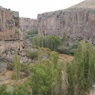 Hangi ilimizin nesi meşhur?