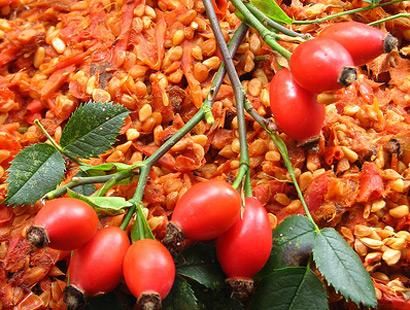 Hangi ilimizin nesi meşhur?