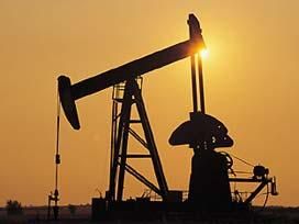 Hangi ilimizin nesi meşhur?