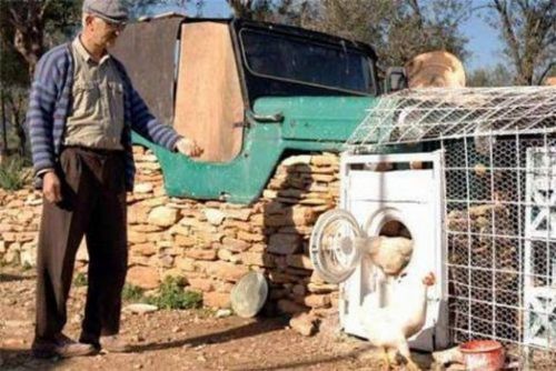 Yurdum insanının komik ilanları