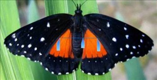 Kabe'nin sırrını bilim çözdü