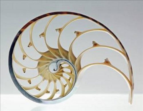 Kabe'nin sırrını bilim çözdü