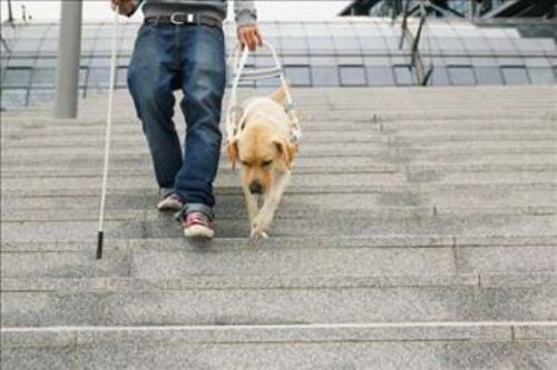 Onların kanser olma riski çok az!