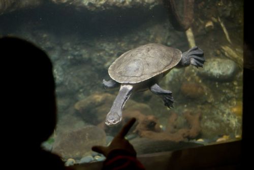 Dünyanın en büyük hayvanat bahçesi