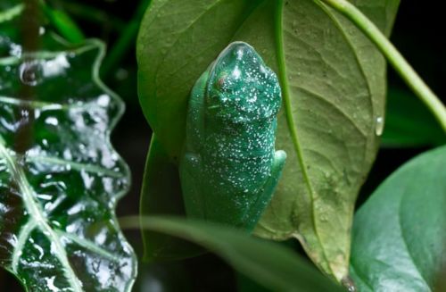 Dünyanın en büyük hayvanat bahçesi