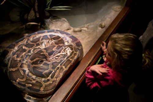 Dünyanın en büyük hayvanat bahçesi