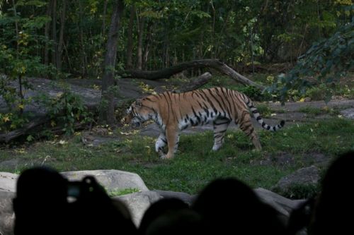 Dünyanın en büyük hayvanat bahçesi