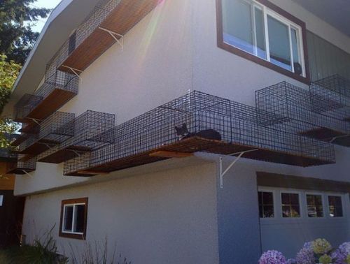 Evden çıkmak istemeyeceksiniz