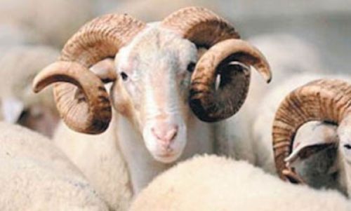 Kur'an'da adı geçen peygamberler