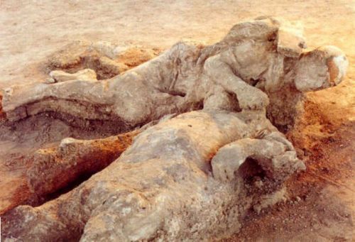 Kur'an'da adı geçen peygamberler