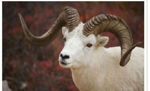 Kur'an'da adı geçen peygamberler