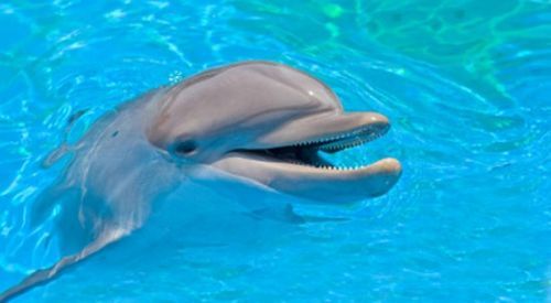 Kur'an'da adı geçen peygamberler