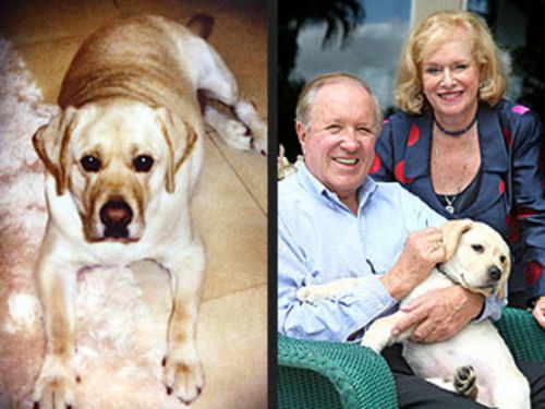 Dünyanın en pahalı hayvanları