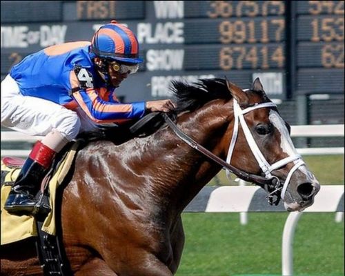 Dünyanın en pahalı hayvanları