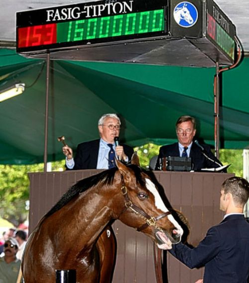 Dünyanın en pahalı hayvanları
