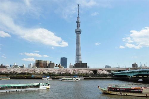 Beyin gücü en yüksek ülkeler