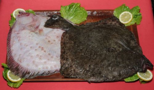 Hangi yiyecek kaç kalori?