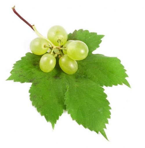 Hangi yiyecek kaç kalori?