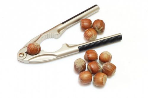 Hangi yiyecek kaç kalori?