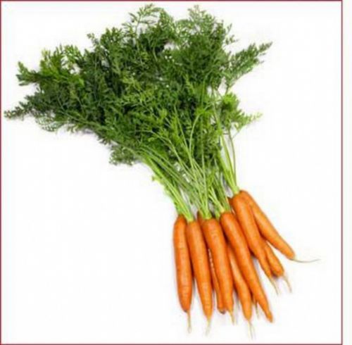 Hangi yiyecek kaç kalori?