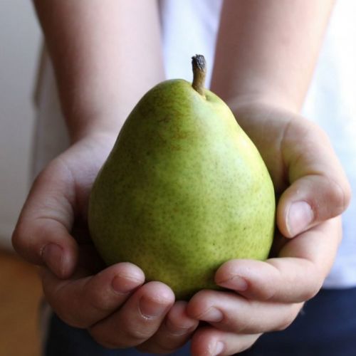 Hangi yiyecek kaç kalori?