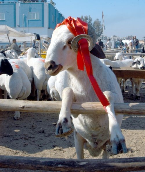 İşte 2014'ün resmi tatilleri!