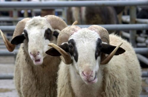 İşte 2014'ün resmi tatilleri!