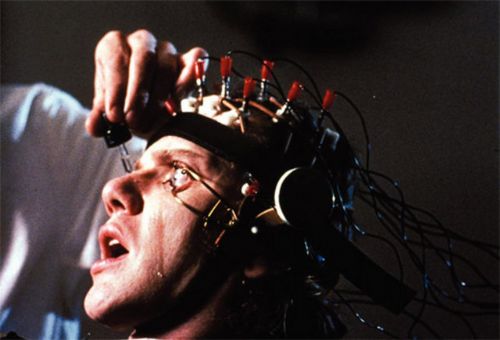 Sonu korkunç biten 10 psikoloji deneyi!