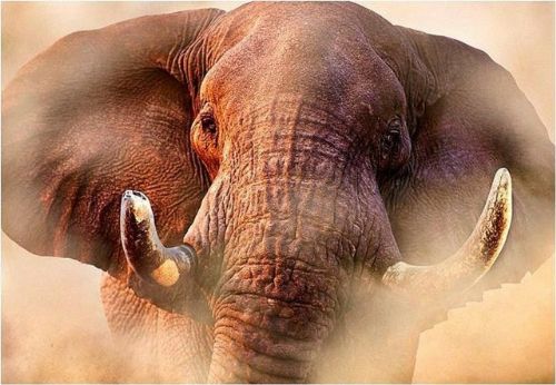 Sonu korkunç biten 10 psikoloji deneyi!