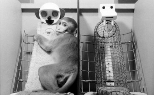 Sonu korkunç biten 10 psikoloji deneyi!