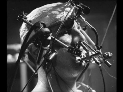 Sonu korkunç biten 10 psikoloji deneyi!