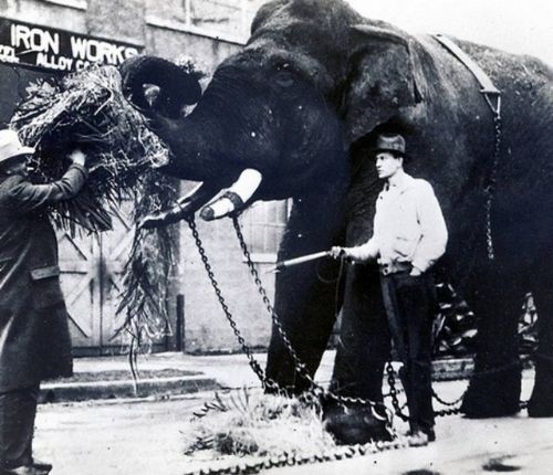 Sonu korkunç biten 10 psikoloji deneyi!