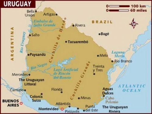 Ülkelere göre IQ seviyesi!