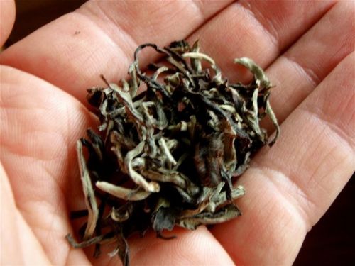 Dünyanın en pahalı 10 çayı!