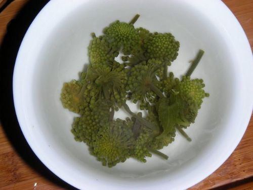 Dünyanın en pahalı 10 çayı!