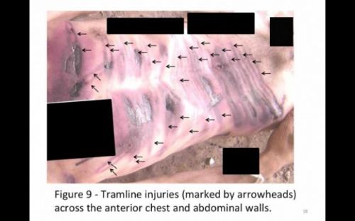 Dünyayı sarsacak Suriye fotoğrafları