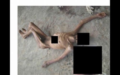 Dünyayı sarsacak Suriye fotoğrafları