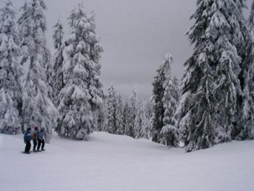 Dünyanın en soğuk 7 yeri!