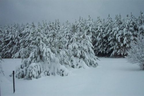 Dünyanın en soğuk 7 yeri!