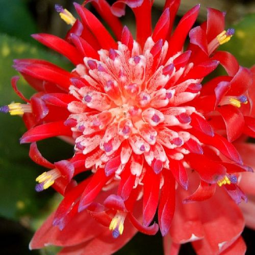 Bitki ve hayvanlardan büyüleyici kareler