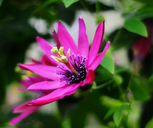 Bitki ve hayvanlardan büyüleyici kareler