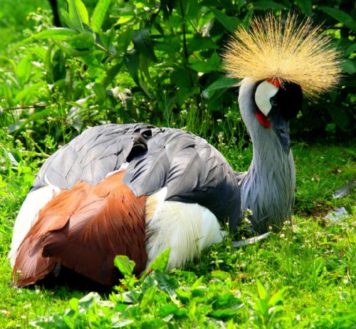 Bitki ve hayvanlardan büyüleyici kareler