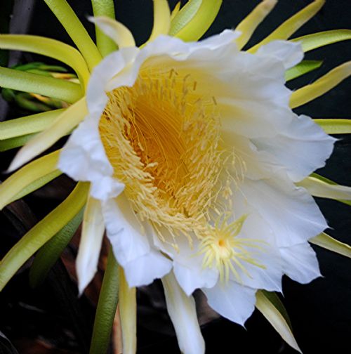 Bitki ve hayvanlardan büyüleyici kareler