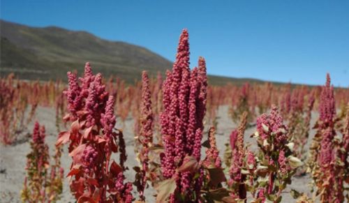100 bin TL'den az parayla kurulabilecek işler