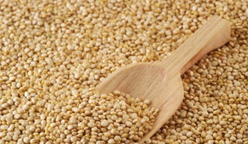 100 bin TL'den az parayla kurulabilecek işler