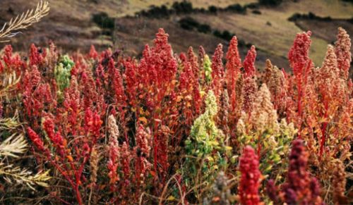 100 bin TL'den az parayla kurulabilecek işler
