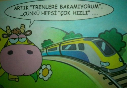 Seçim sonrası güldüren karikatürler